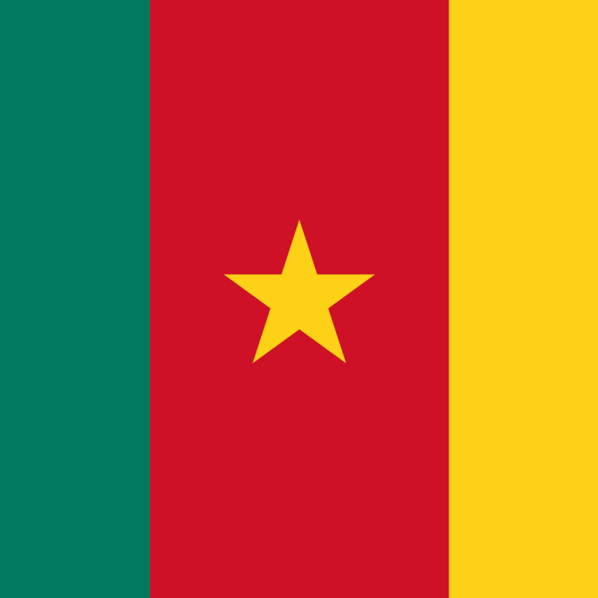 Flag_of_Cameroon.svg